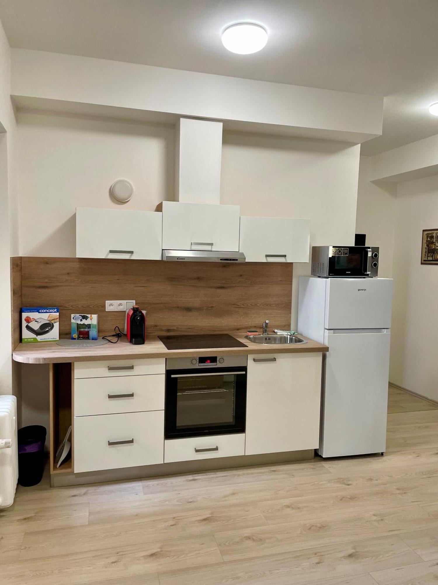Appartamento Apartman Josefska Brno Esterno foto