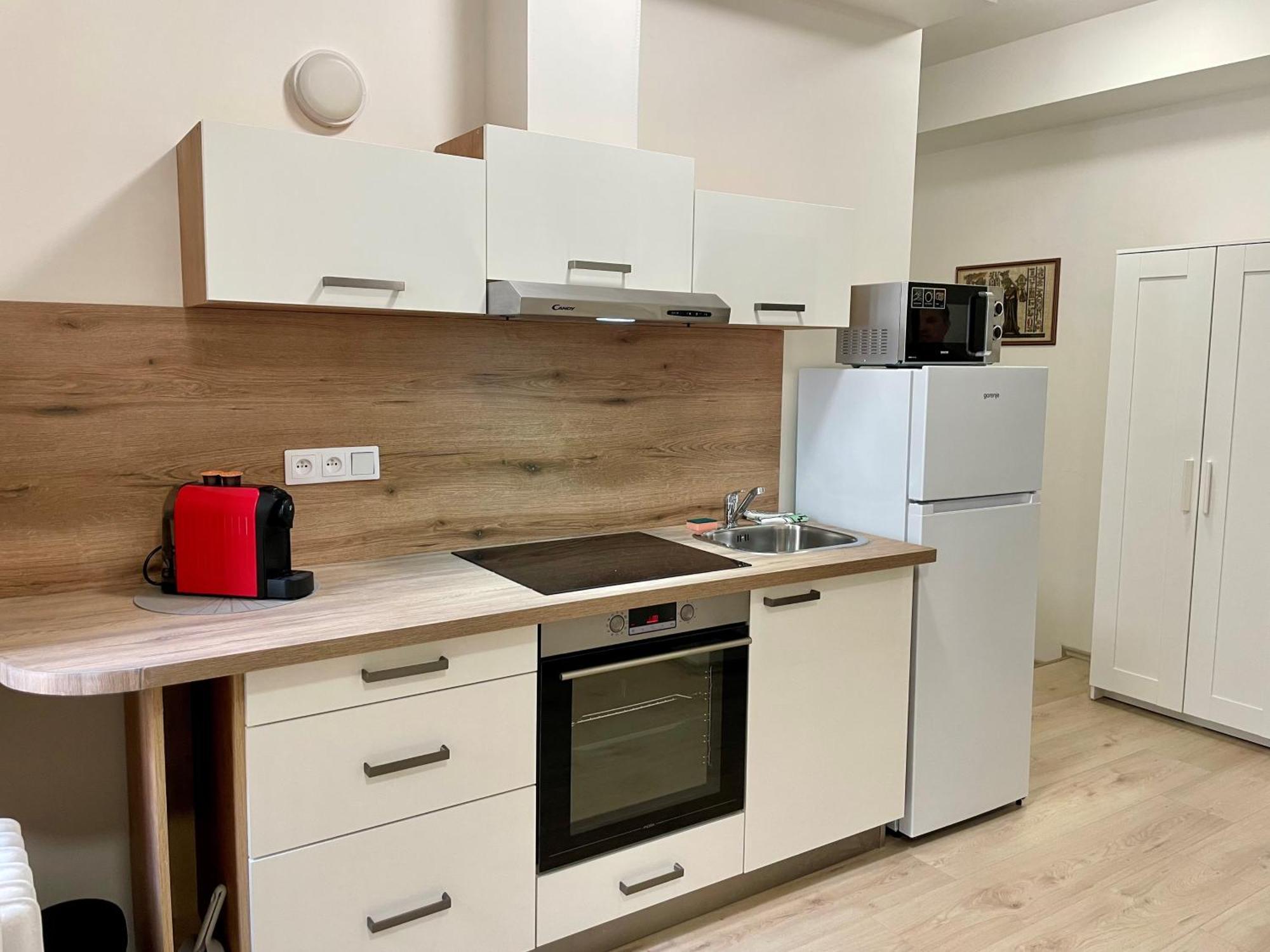 Appartamento Apartman Josefska Brno Esterno foto