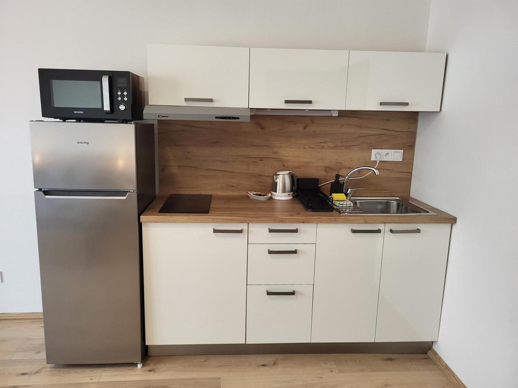 Appartamento Apartman Josefska Brno Esterno foto